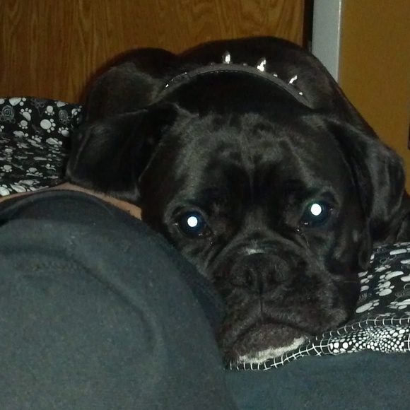 Meet your Posher, Mario - Picture 3 of 3